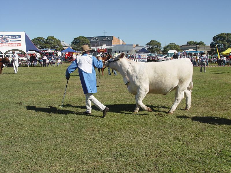 beef-week 063.jpg
